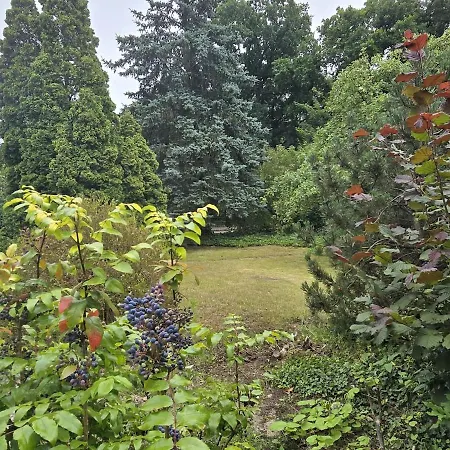 Allergrün, Terrasse, Garten, Stellplatz! Verden an der Aller